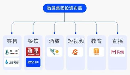 6億美元融資就位 看微盟如何&ldquo;深挖坑、廣積糧、高筑墻&rdquo;